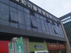 -谐和贝康宠物医院24小时·宠保定点(急重症转诊中心)