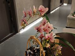 -施奈儿.洗头頭療.按摩SPA.采耳(上梅林店)