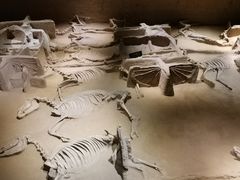 -洛阳周王城天子驾六博物馆