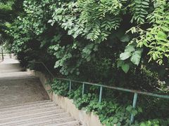 -风车面包
