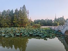 -南通濠河风景名胜区