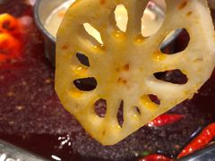 -融泽漁悦三只耳鱼火锅(南郑大道店)