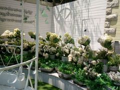 -苏小糖(鼓浪屿三丘田花园店)