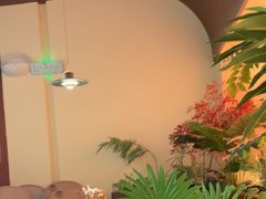 -向森咖啡·蛋糕·简餐