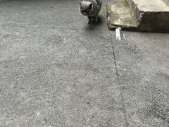 -乐山市博物馆