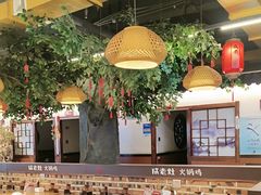 -成老灶火锅鸡(平山店)