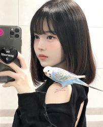 -唐美