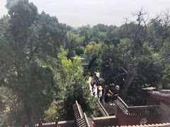 -晋祠公园