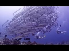 -秦皇岛新澳海底世界