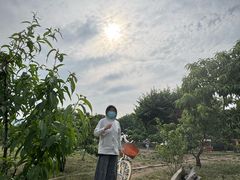 -塘沽森林公园