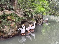-兰亭风景区