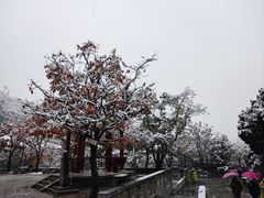-华清宫景区