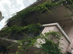 -南丫岛