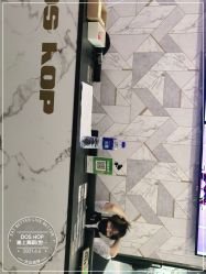 -DOS HOP潮上舞蹈