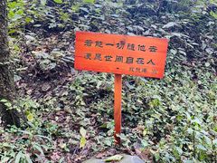-寂照庵