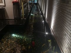 -晶采轩(虹桥路店)