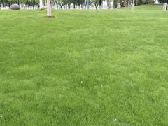 -西北湖绿化广场
