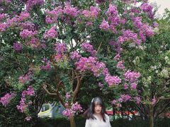 -杭州城北体育公园