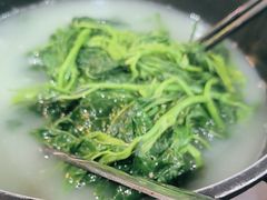 -石岐乳鸽村(南海第三分店)