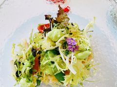 -蝶舍·MAISON PAPILLON