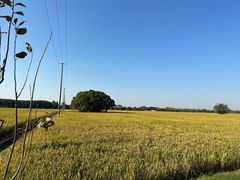 -嘉北郊野公园