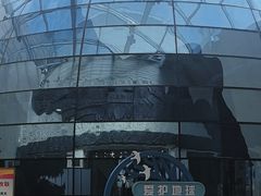 -烟台自然博物馆