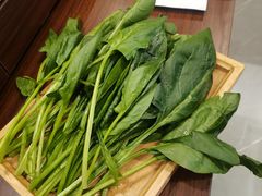 -蝎王府羊蝎子(虎坊桥总店)