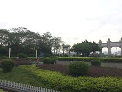 -中山大学学者灵芝(园南路店)