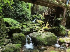 -青城山