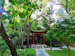 -碑林公园