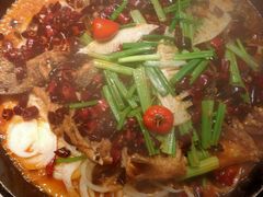 -老板恋上鱼(高新万达店)