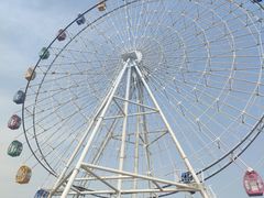 -飞来湖湿地公园