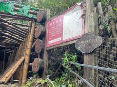 -水墨汀溪风景区