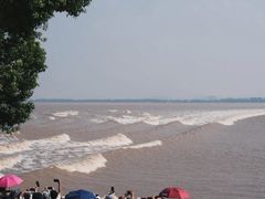 -观潮胜地公园