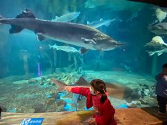 -华夏文旅海洋公园