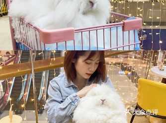 这么可爱的兔兔不来看看吗？