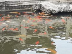 -梅园