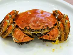 -品鲜村农家菜·阳澄湖大闸蟹(总店)