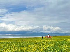 -青海湖国家重点风景名胜区