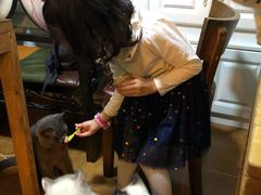 -李小姐の猫咖啡馆(五角场店)
