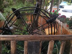 -园林美食城·本土农家菜(杨和镇店)