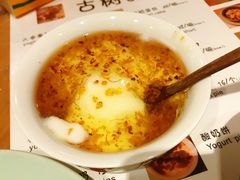 -古树酸奶(八廓南街店)
