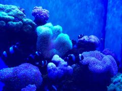 -多彩贵州城极地海洋世界