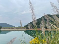 -海煮叹鲜·粥底火锅·港式海鲜打边炉(赛银国际广场店)
