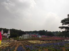 -松山湖梦幻百花洲