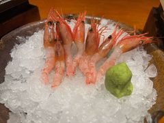 甜虾-月龍吟(朝龙汇店)