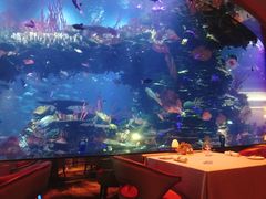 -迪拜帆船酒店海底餐厅