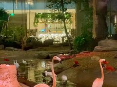 -白虎自助餐厅·真老虎·景观自助餐厅(广州长隆酒店)