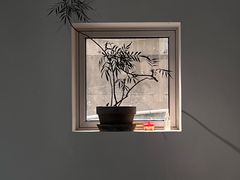 -珍粥道(群力远大店)