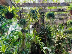 -中国科学院西双版纳热带植物园